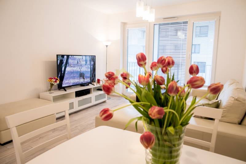 Prenájom 2 izbový byt, Hany Ponickej, BORY HOME, Bratislava IV. Lamač