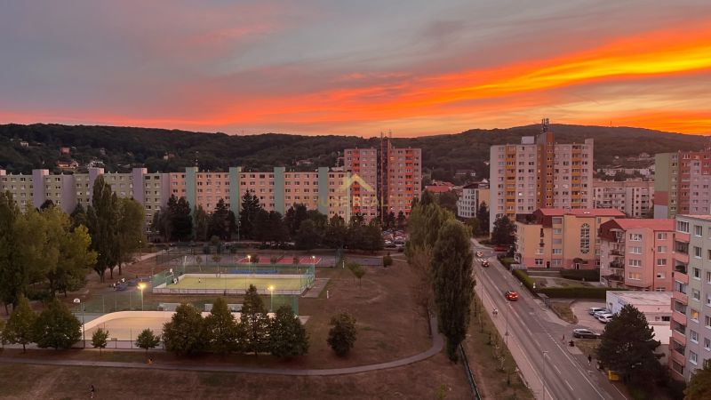 IMG_4382.jpg