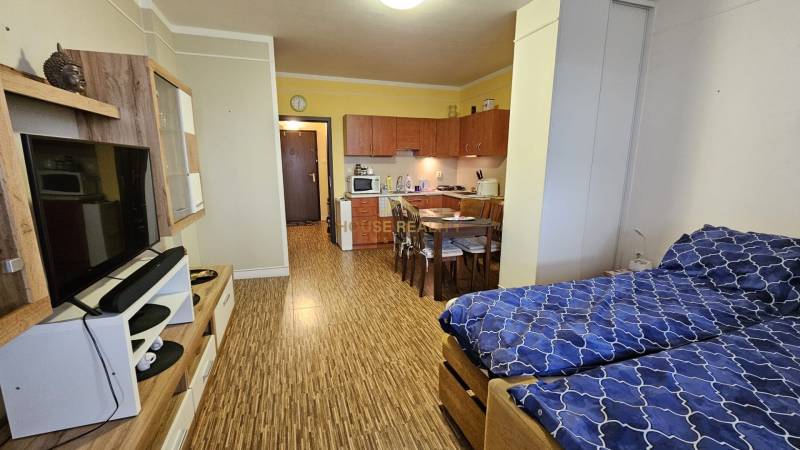 Veľká garsónka s lodžiou, ulica Jána Jonáša, BA IV. Devínska Nová Ves