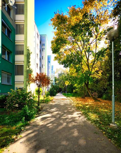 Predaj 2 izbový byt, ulica A. Gwerkovej, Bratislava V. Petržalka