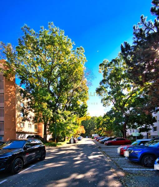 Predaj 2 izbový byt, ulica A. Gwerkovej, Bratislava V. Petržalka