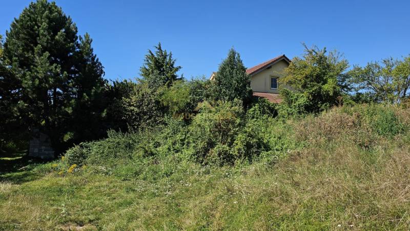 Slnečný pozemok pri vode Malý Dunaj, Nová Dedinka, Senec