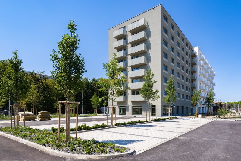 Ovocne-sady-Trnavka-3.jpg